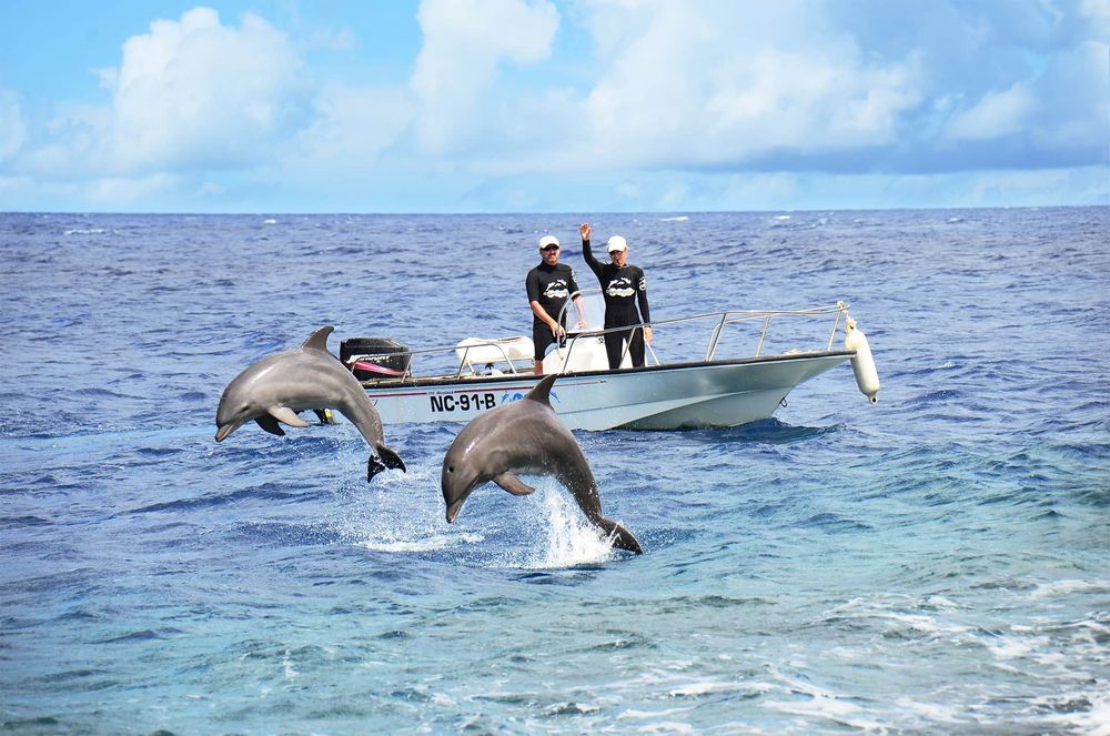 Open-Sea-Training.jpg