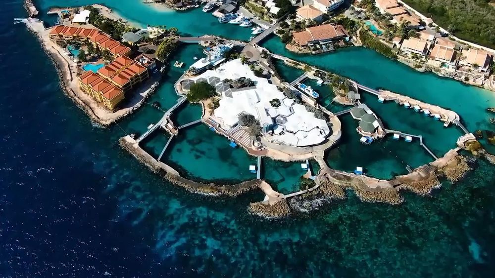 curacao-sea-aquarium-compressed_5.jpeg
