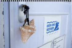 Queen Conch Hatchery